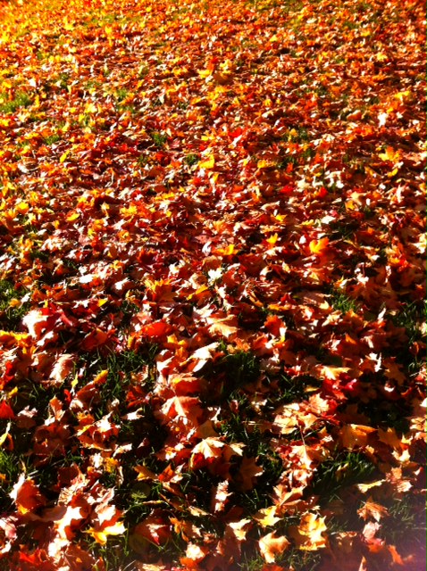 Autumn2012